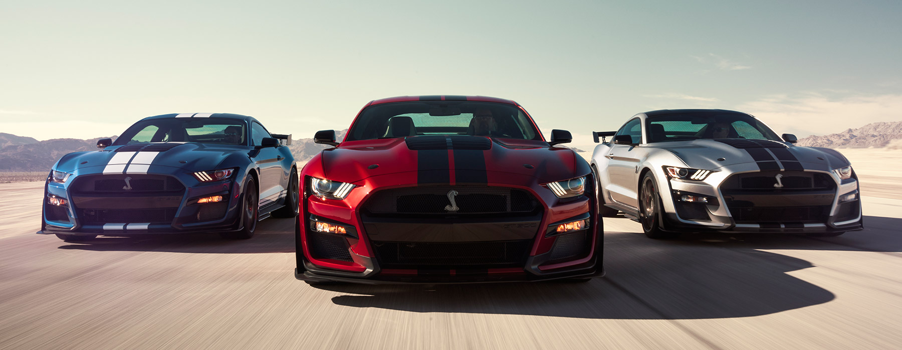 Drive a Shelby GT500